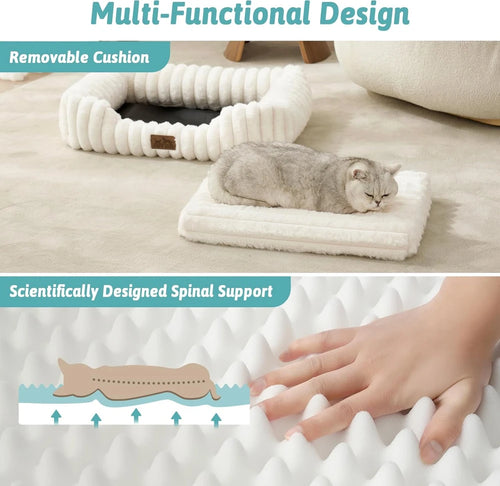 Cozy Orthopedic Bed