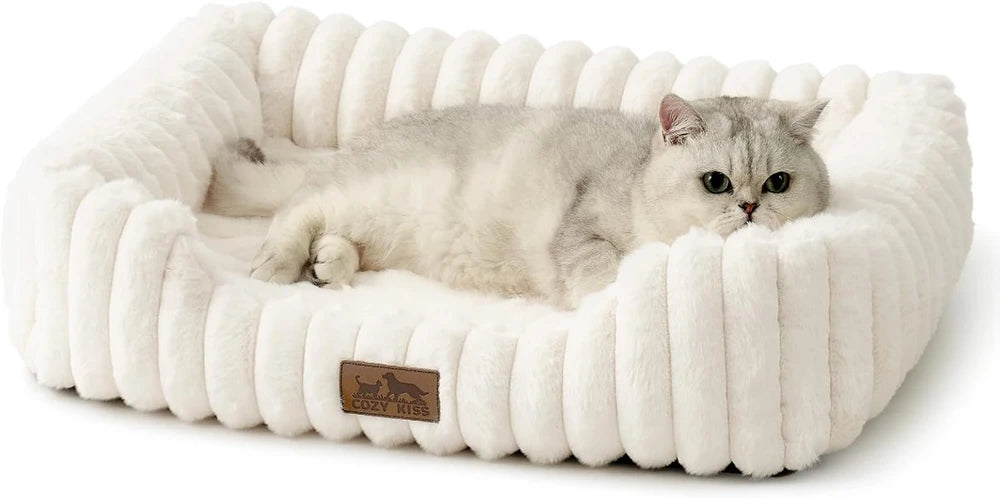 Cozy Orthopedic Bed