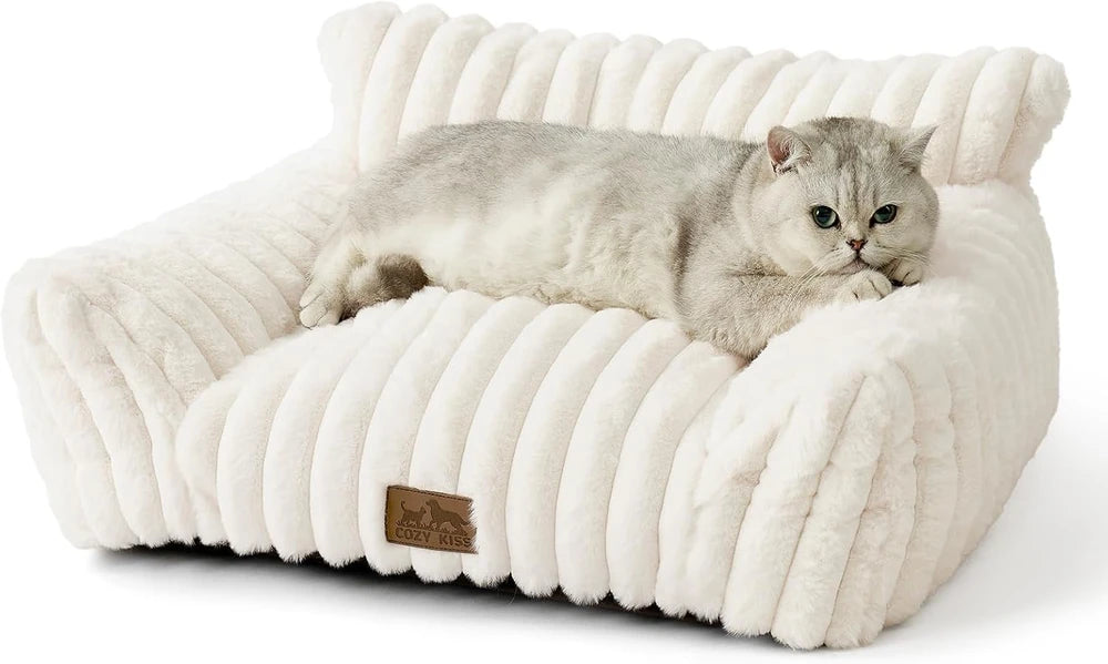 Cozy Couch
