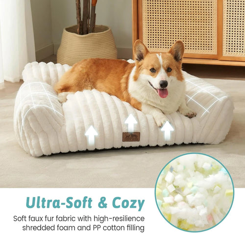 Cozy Couch